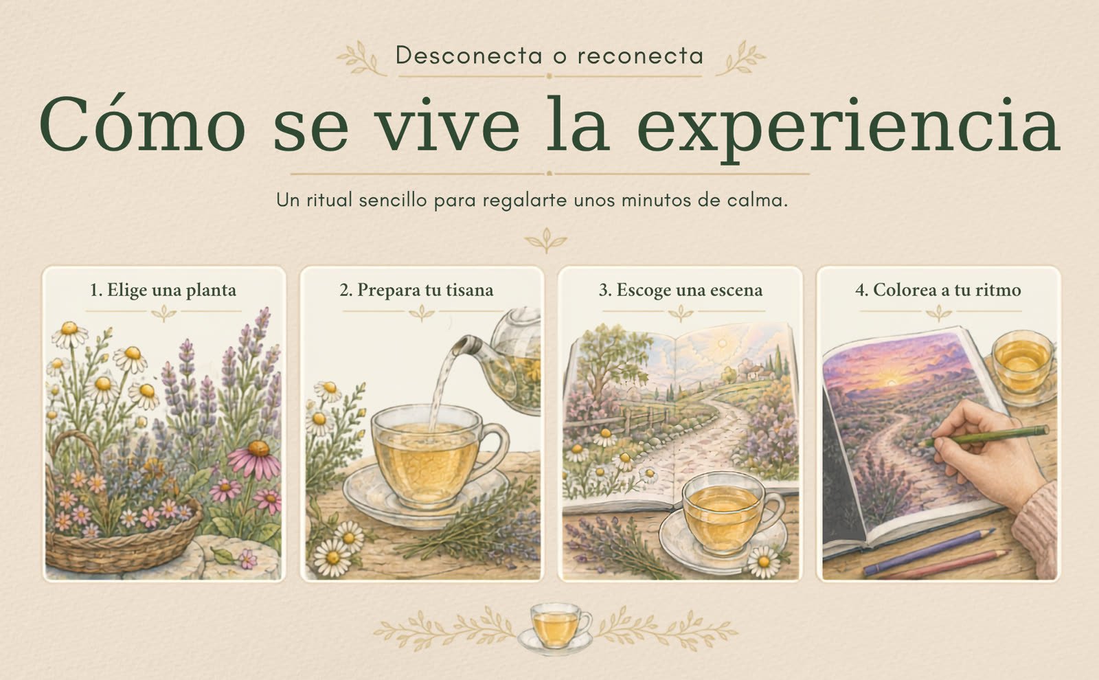 Secuencia visual para elegir una planta, preparar una tisana y colorear un paisaje